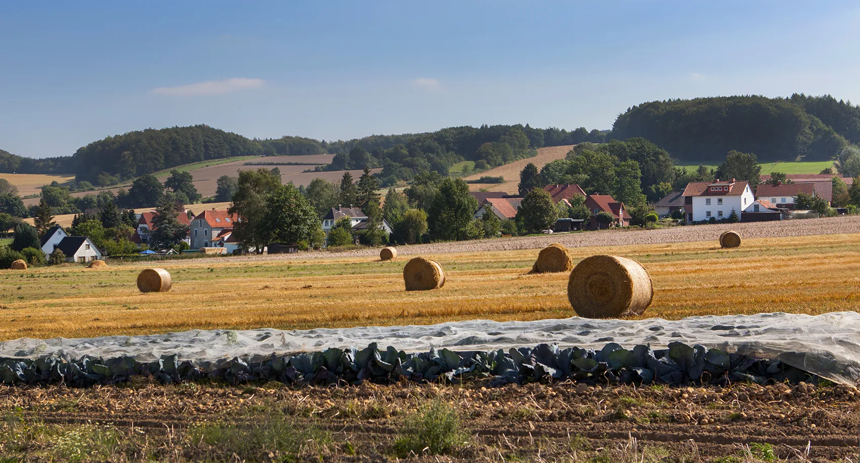 Photo showing: Brosen, Kalletal, Kreis Lippe (Ansicht von Nordwesten)