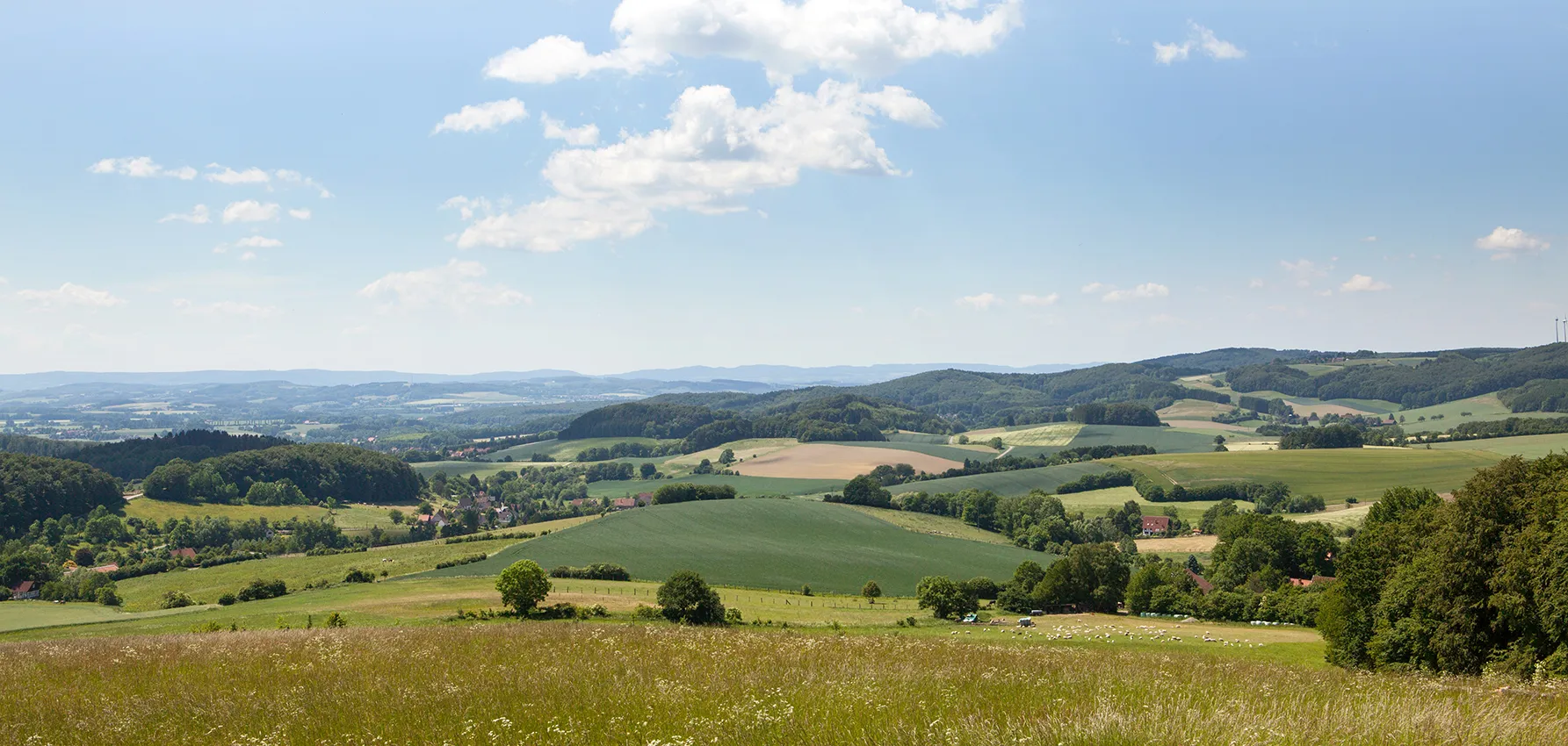 Photo showing: Lipper Bergland, Blick von Steinberg bei Schwelentrup Richtung Süd-West