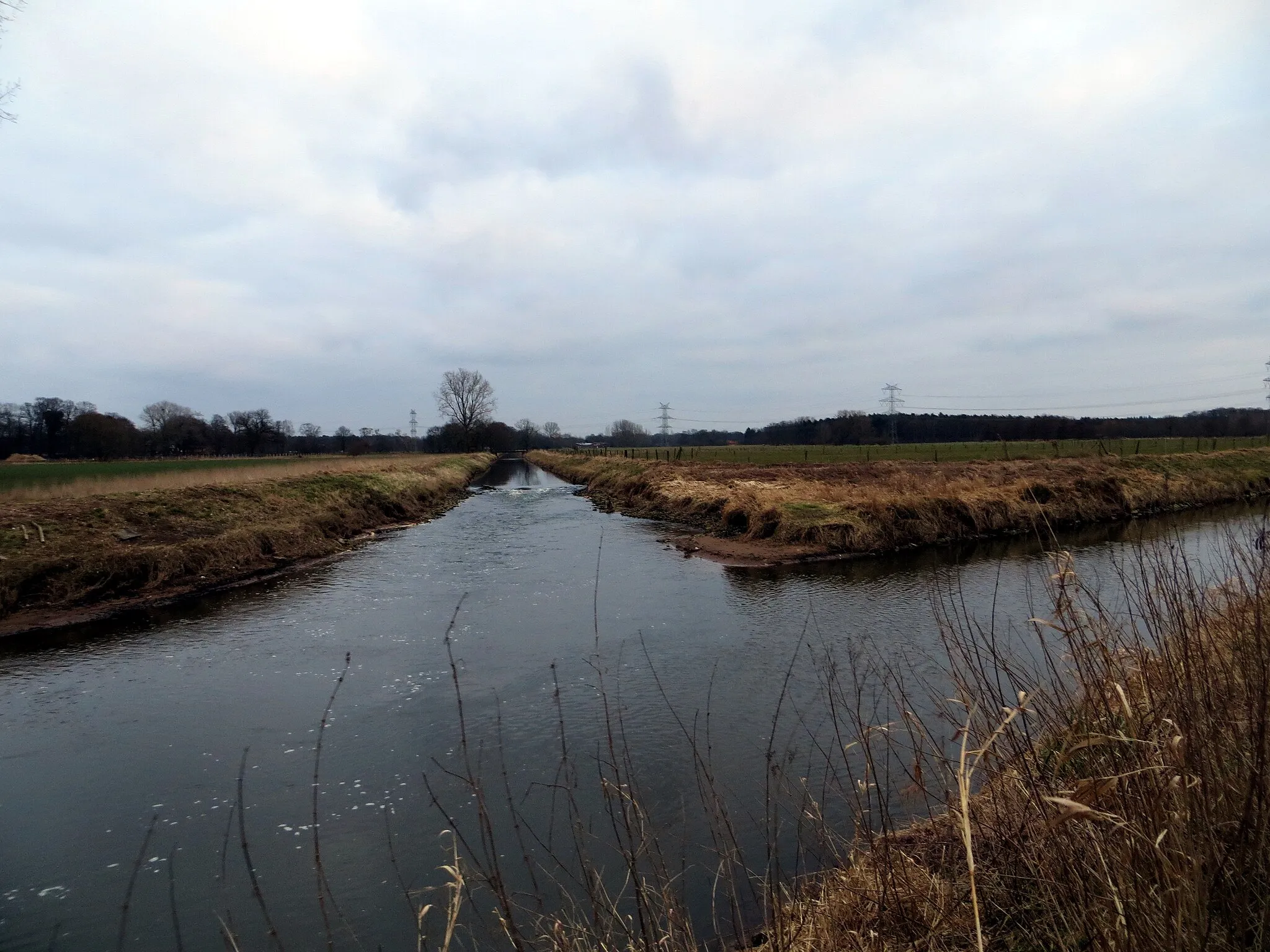 Photo showing: The place where the river Dalke flows into the Ems.