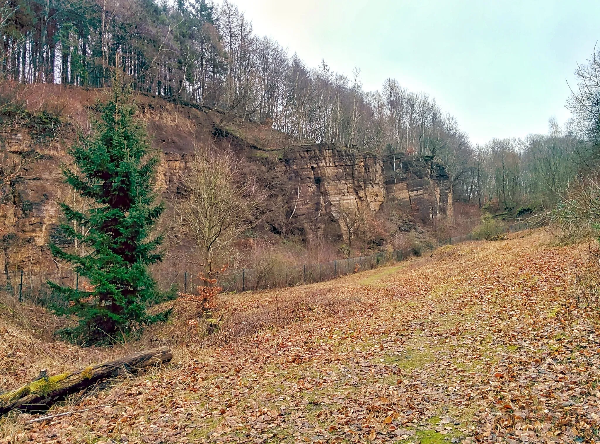 Photo showing: Alter Amtssteinbruch im Donoer Berg in Rödinghausen-Bieren, Kreis Herford, Nordrhein-Westfalen.