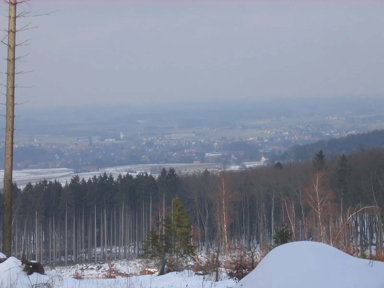 Photo showing: At Wittekind hiking trail at Wiehen Hills between Rödinghausen (District of  Herford) and Lübbecke (District of Minden-Lübbecke), North Rhine-Westphalia, Germany.