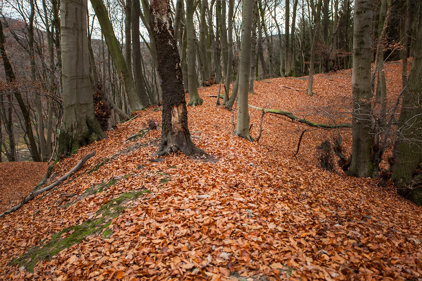 Photo showing: Babilonie, Wall der Hauptburg im Nordosten