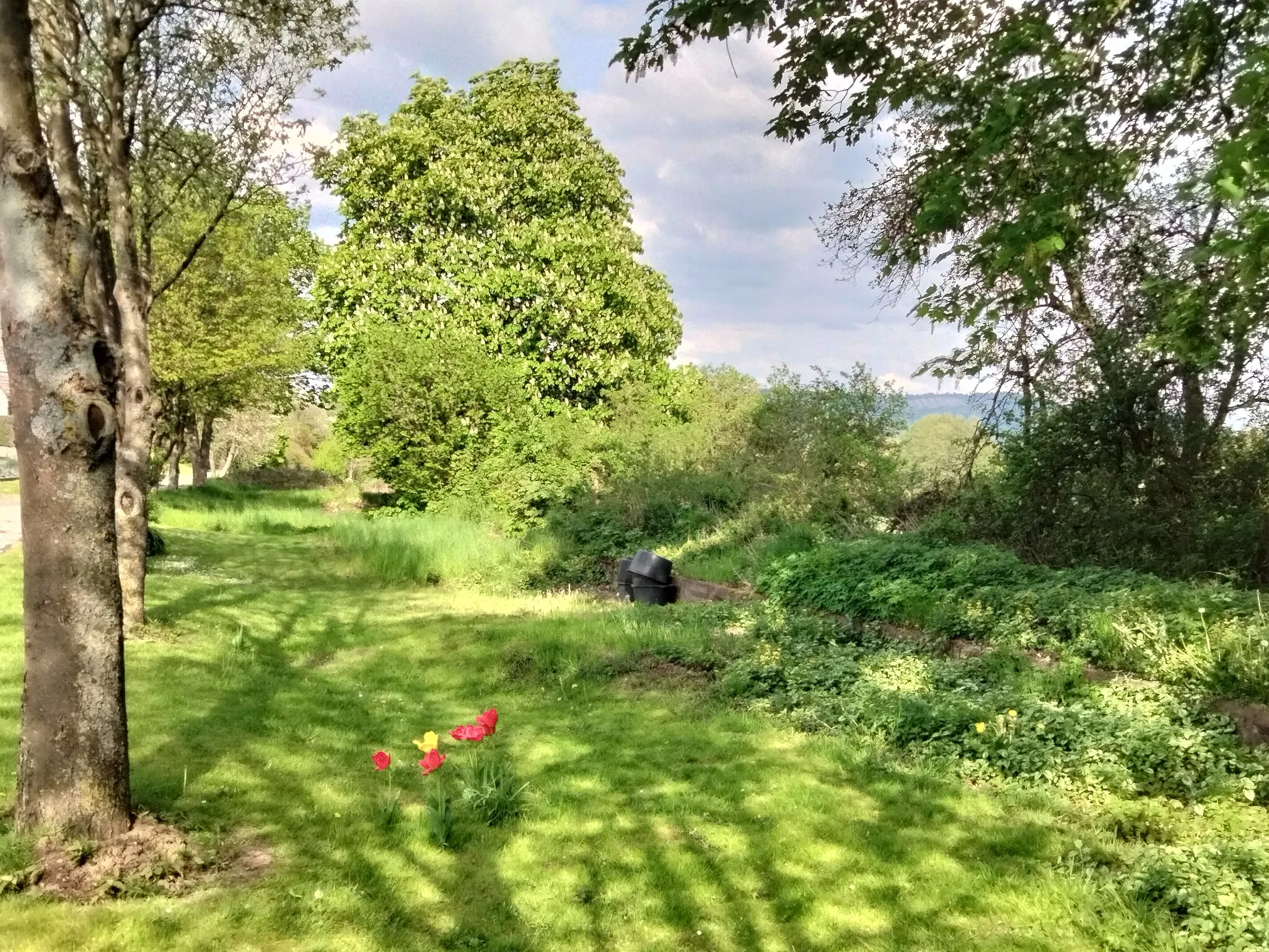 Photo showing: Former railway halting place, Aerzen-Reher near Hamlin, Lower Saxony, Germany