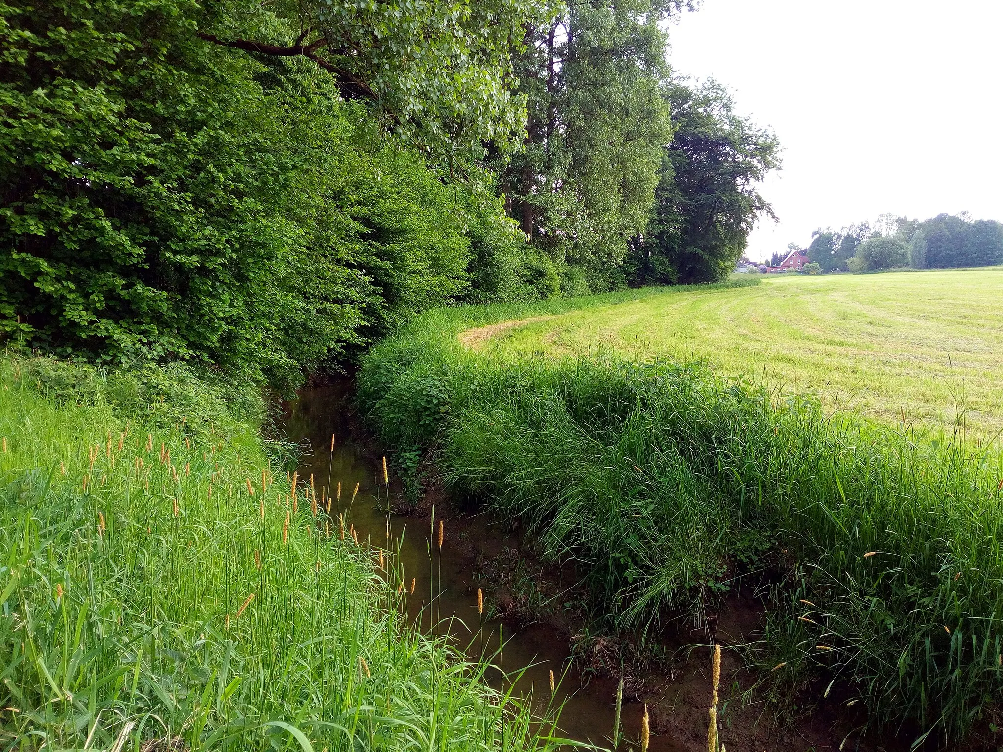 Photo showing: Herrliche kleine Ortschaft incl. Waldgebiet mit Ehrenmal, Wasserwerk und toller Aussicht auf Melle.