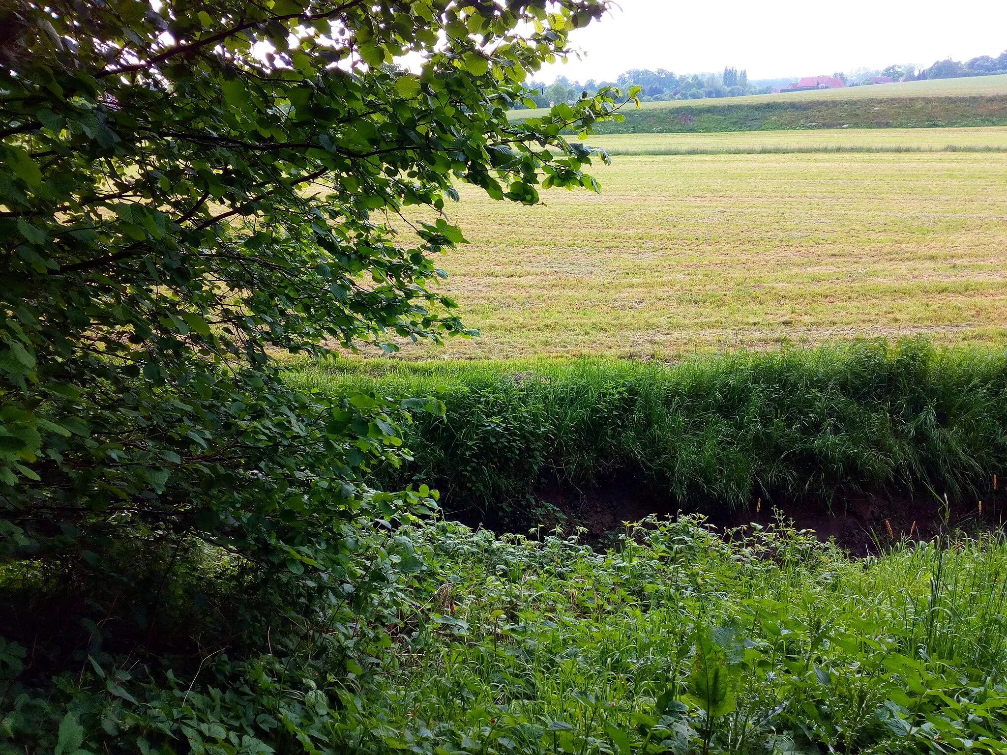 Photo showing: Herrliche kleine Ortschaft incl. Waldgebiet mit Ehrenmal, Wasserwerk und toller Aussicht auf Melle.