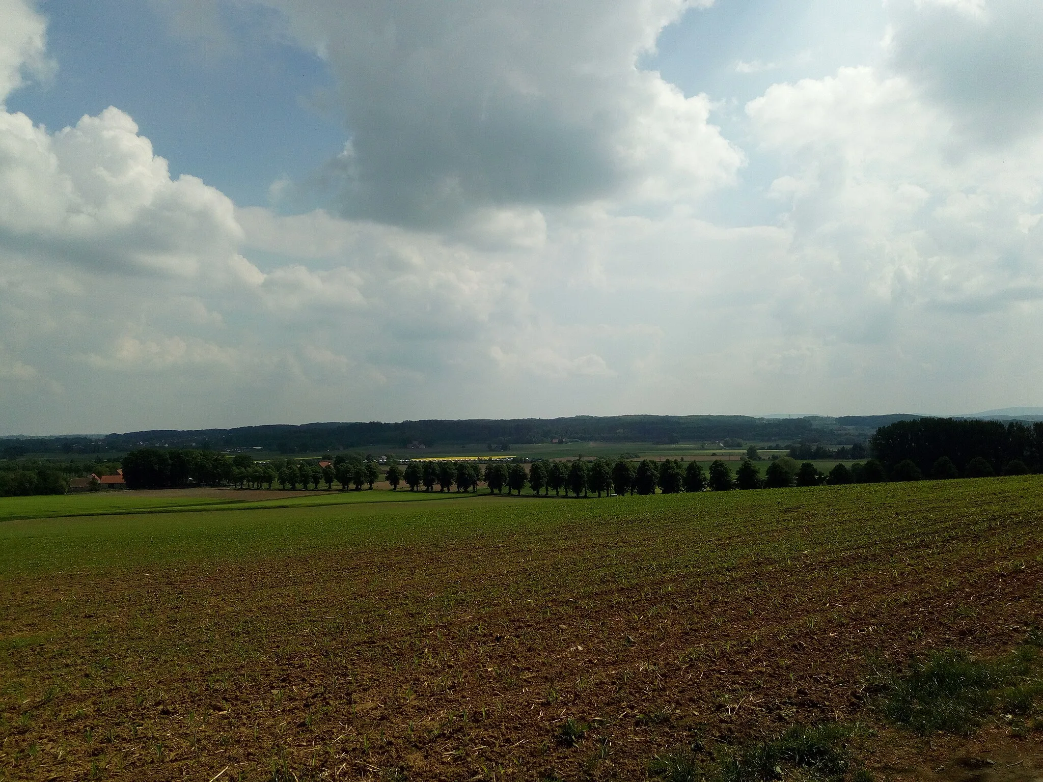 Photo showing: Herrliche kleine Ortschaft incl. Waldgebiet mit Ehrenmal, Wasserwerk und toller Aussicht auf Melle.