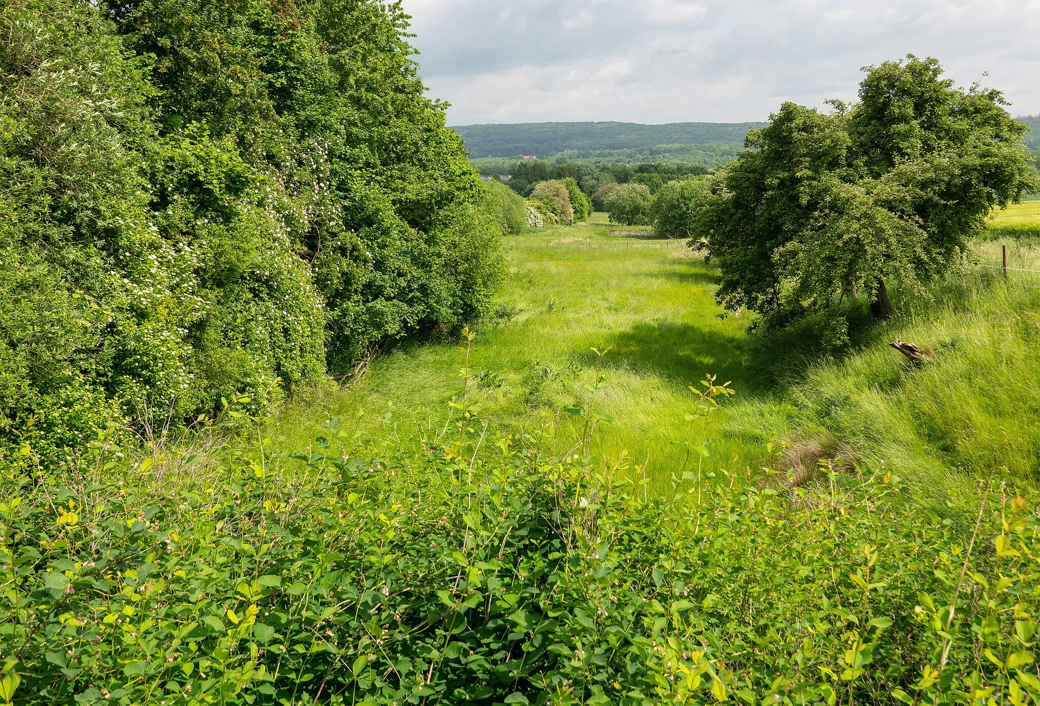 Photo showing: Landschaftsschutzgebiet Voßsiek in Bad Salzuflen (Biemsen-Ahmsen), Kreis Lippe, Nordrhein-Westfalen.