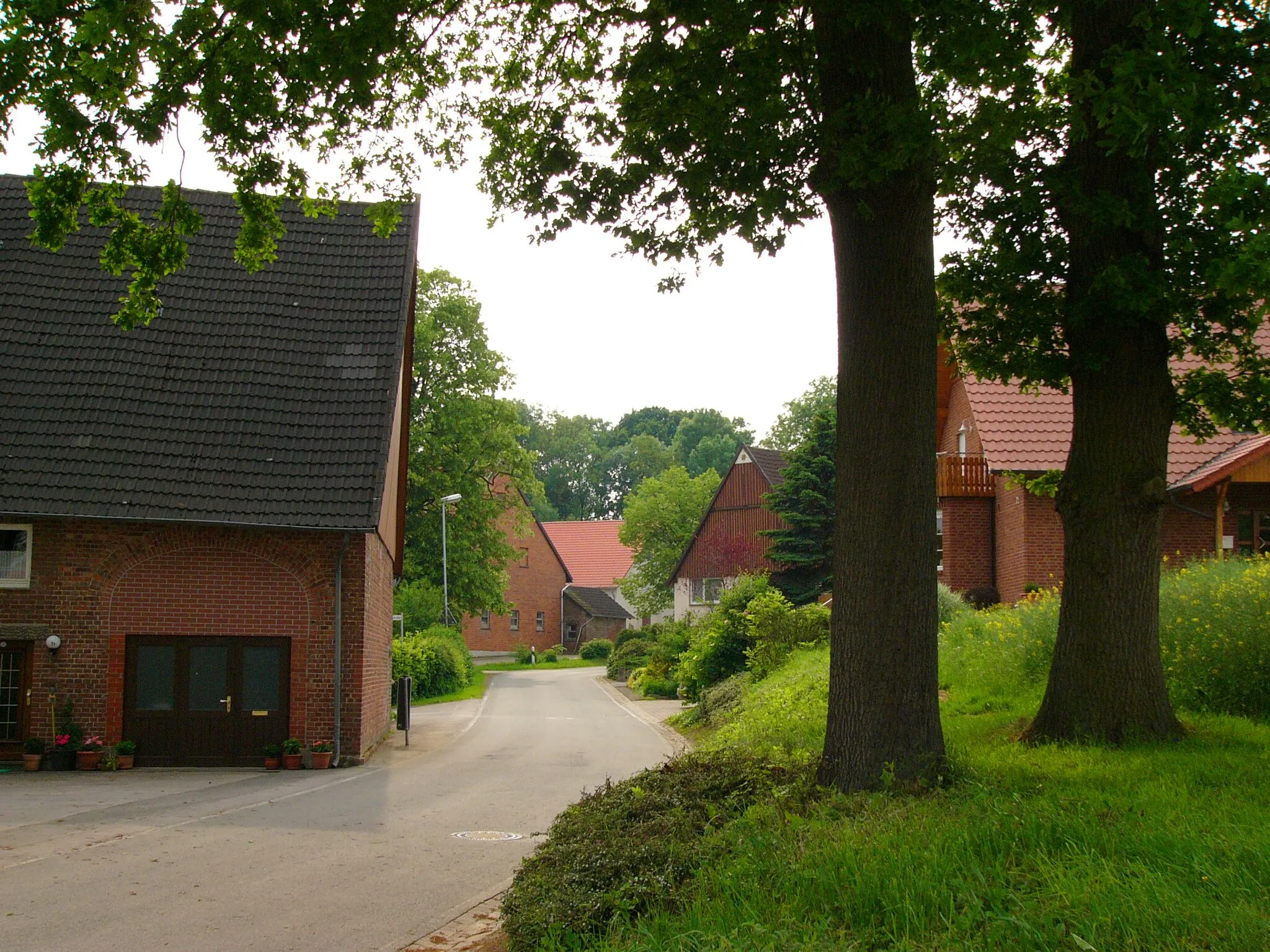 Photo showing: Dorfstraße in Mossenberg-Wöhren, Ortsteil von Blomberg, Germany