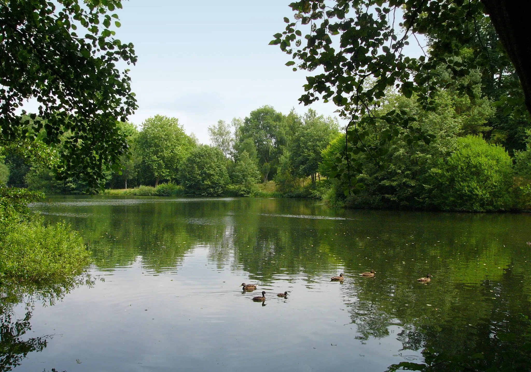 Photo showing: Storage pond of the Hasselbach, north of Donoper Teich, Teutoburger Wald, Germany.