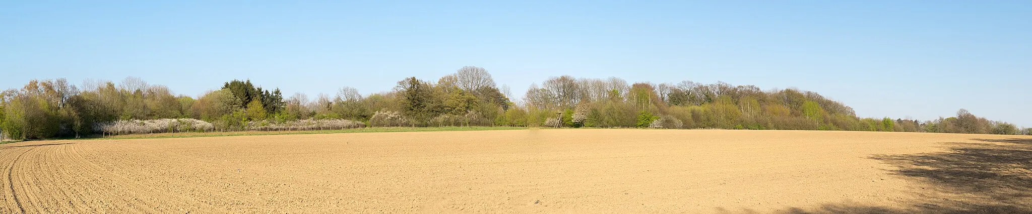 Photo showing: Landschaftsschutzgebiet "Biotopkomplex am Hiddeser Berg", Detmold-Hiddesen, Kreis Lippe