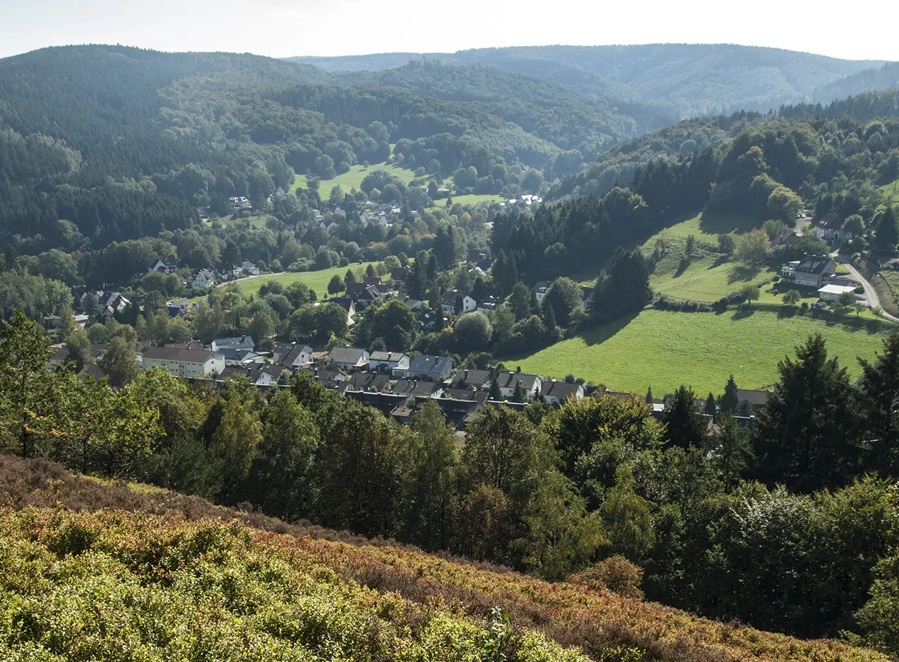 Photo showing: Berlebeck, Ansicht von der Hohen Warte