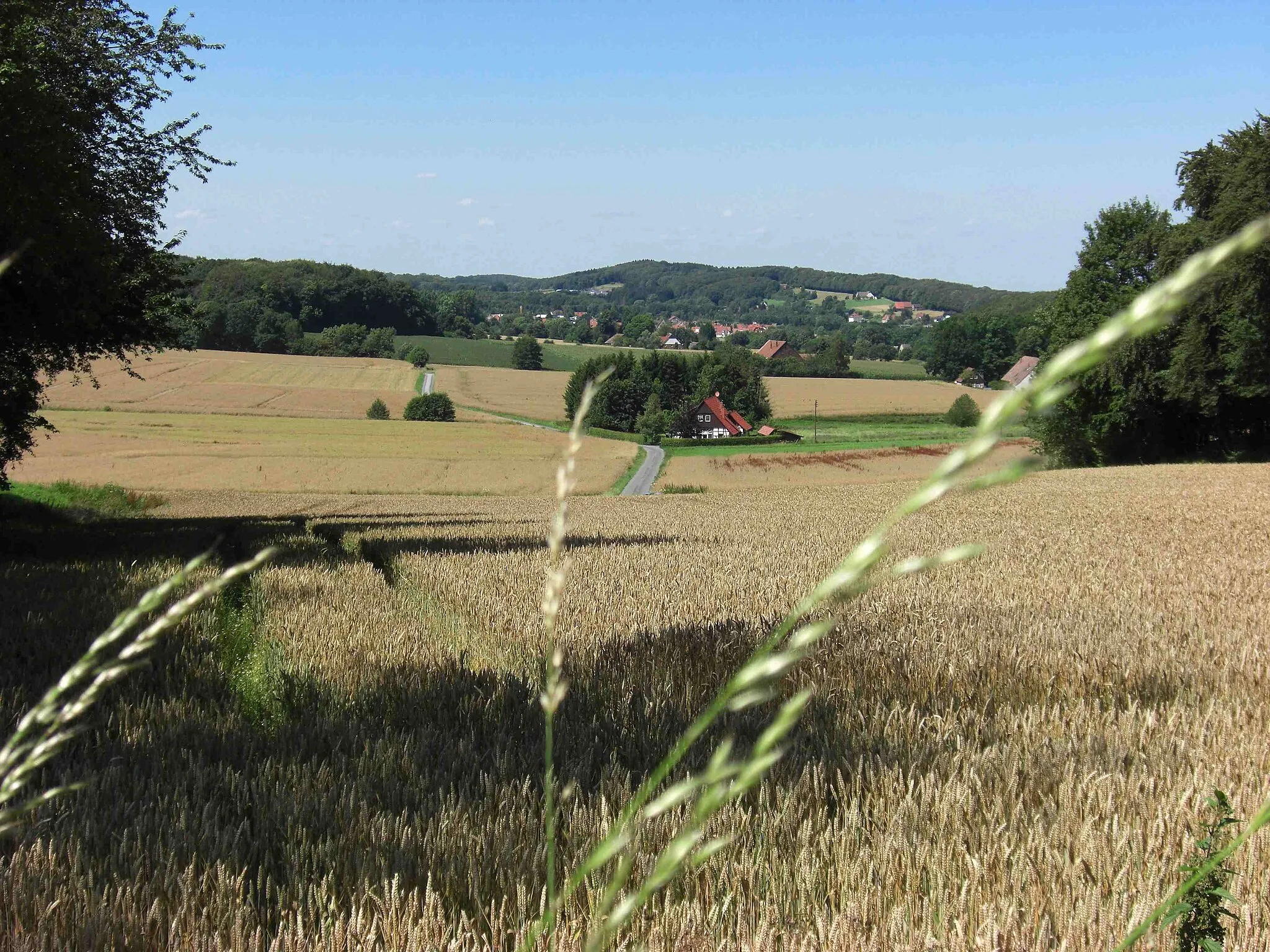 Photo showing: Blick auf's Isingdorfer Feld
