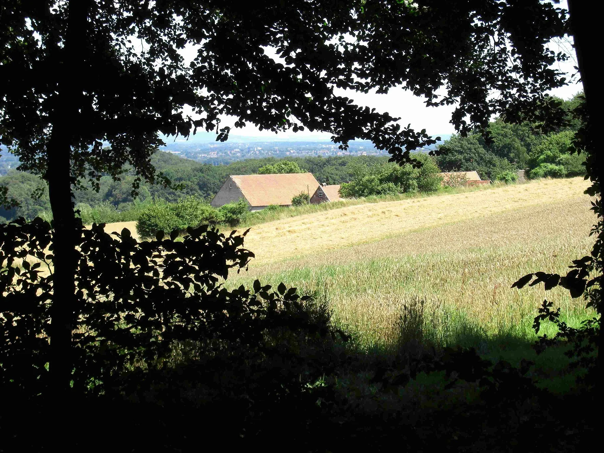 Photo showing: Blick vom Wald auf Hof