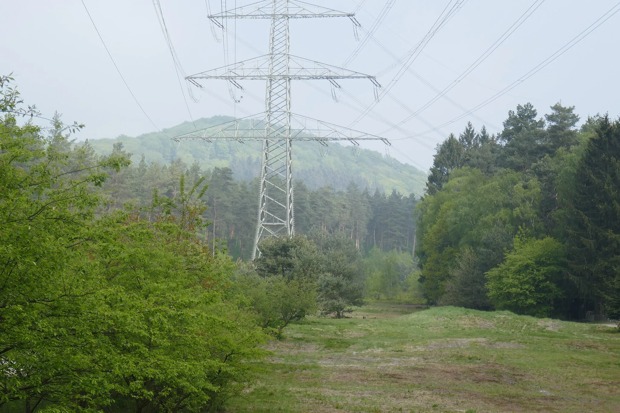 Photo showing: Naturschutzgebiet Markengrund in Bielefeld; Im Hintergrund der Lewenberg im Teutoburger Wald