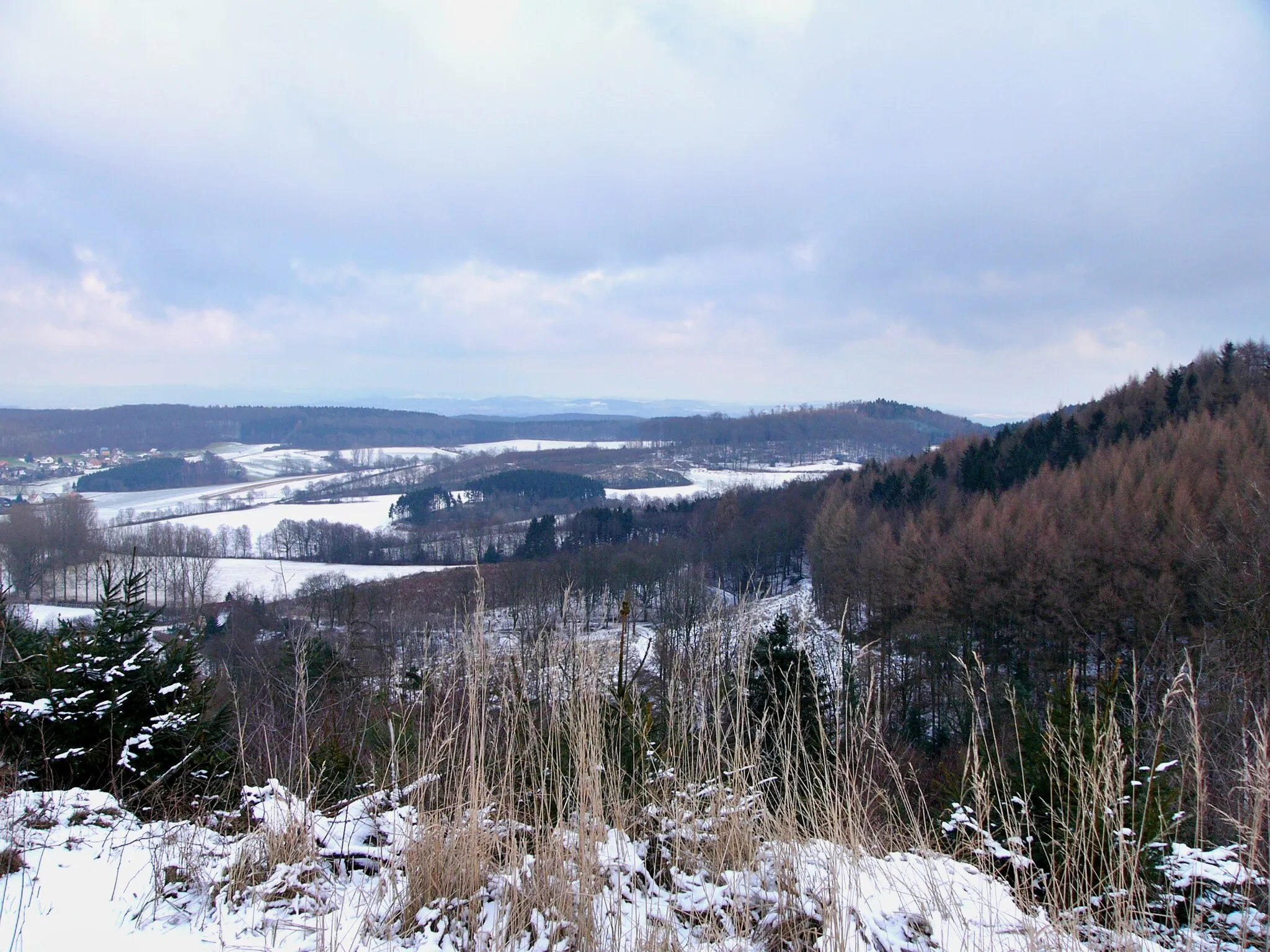 Photo showing: View from the Tönsberg near Oerlinghausen in Teutoburg Forest, Germany