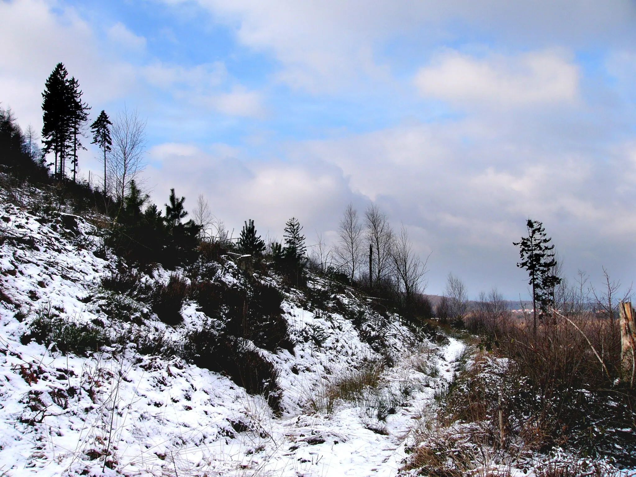 Photo showing: View from the Tönsberg near Oerlinghausen in Teutoburg Forest, Germany