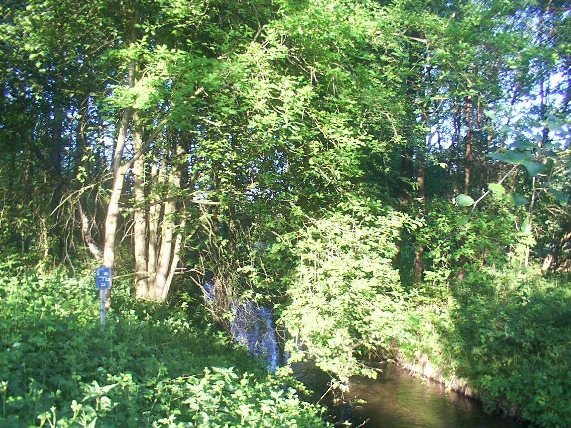 Photo showing: Senne: Haustenbach bei Staumühle, an der Grenze zum Truppenübungsplatz Sennelager