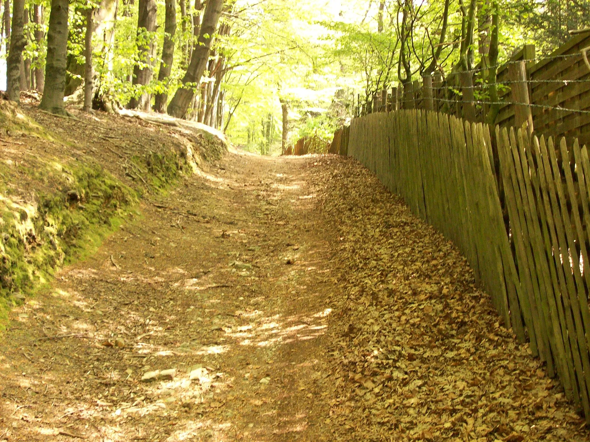 Photo showing: Der Weg zur Hünenburg