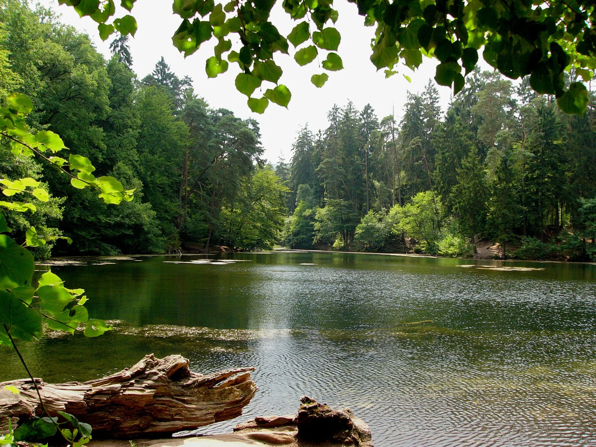 Photo showing: Donop's Pond in Teutoburg Forest, Germany
