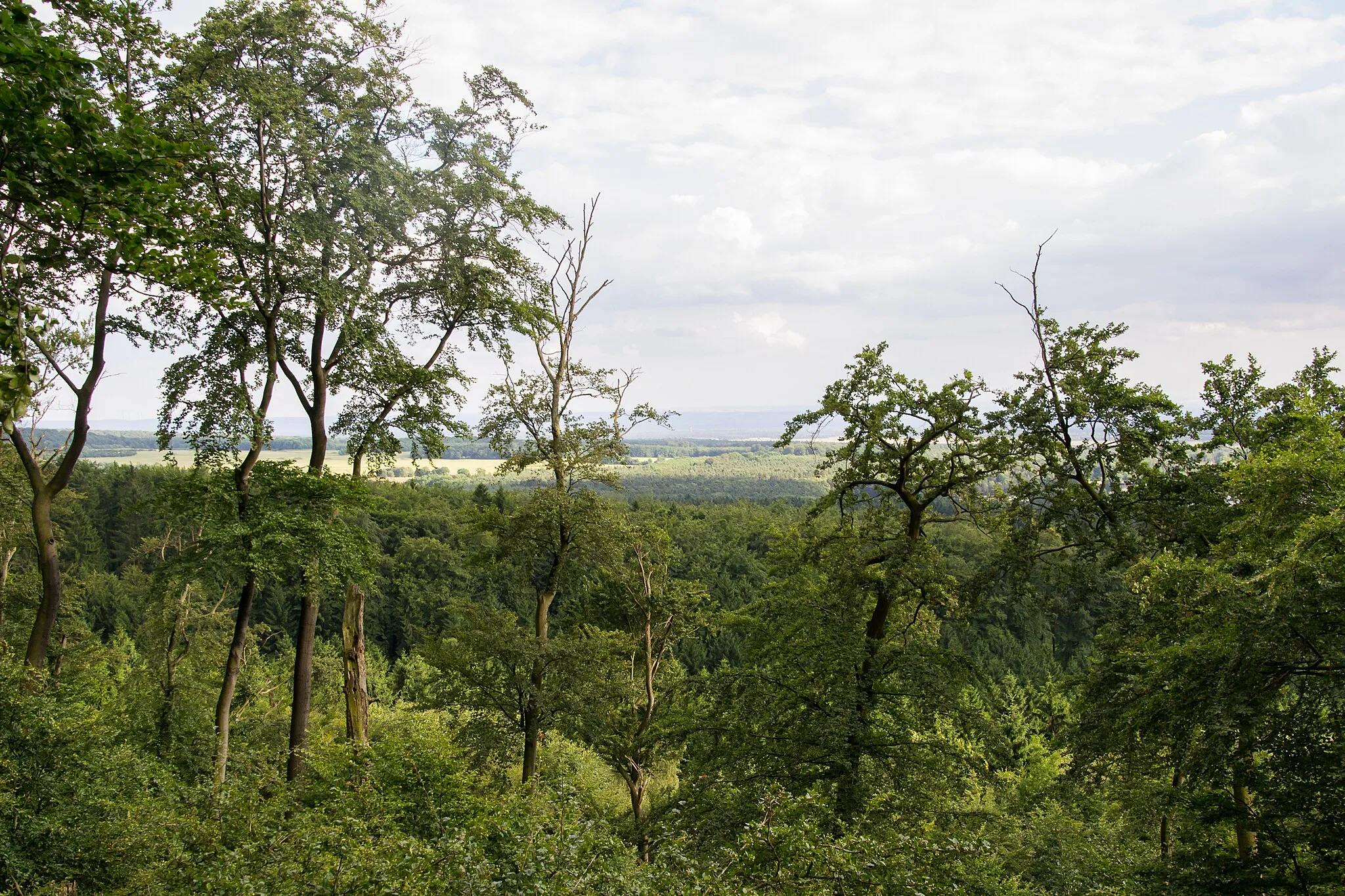 Photo showing: Blick vom Großen Ehberg (im Naturschutzgebiet Östlicher Teutoburger Wald) auf Augustdorf (Naturpark Teutoburger Wald/Eggegebirge)