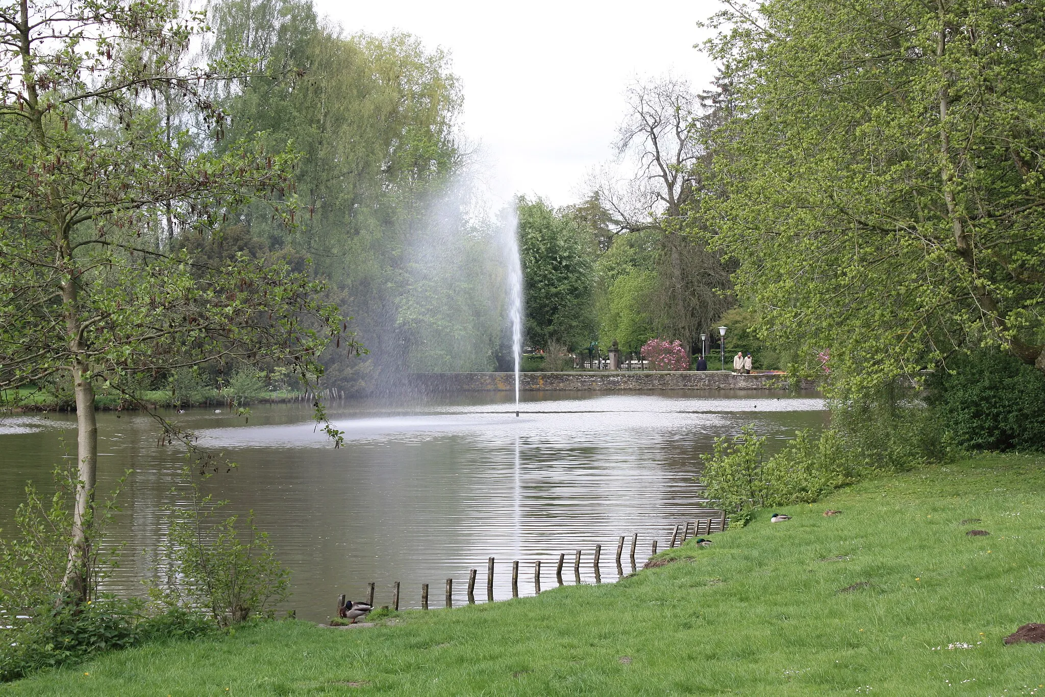 Photo showing: Kurpark Bad Meinberg