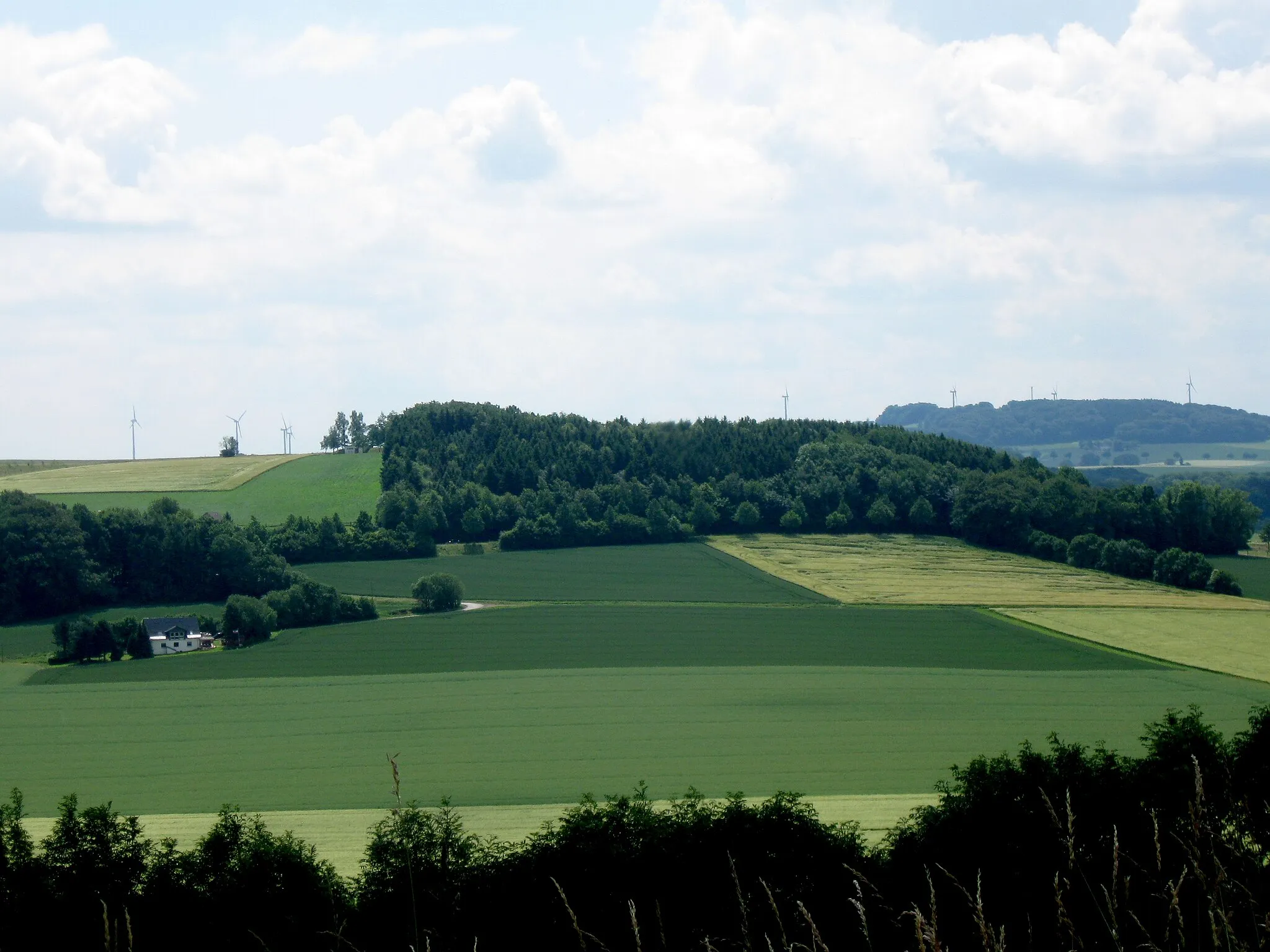 Photo showing: Solterberg (Nordseite) in Exter, Vlotho, Kreis Herford, Nordrhein-Westfalen.