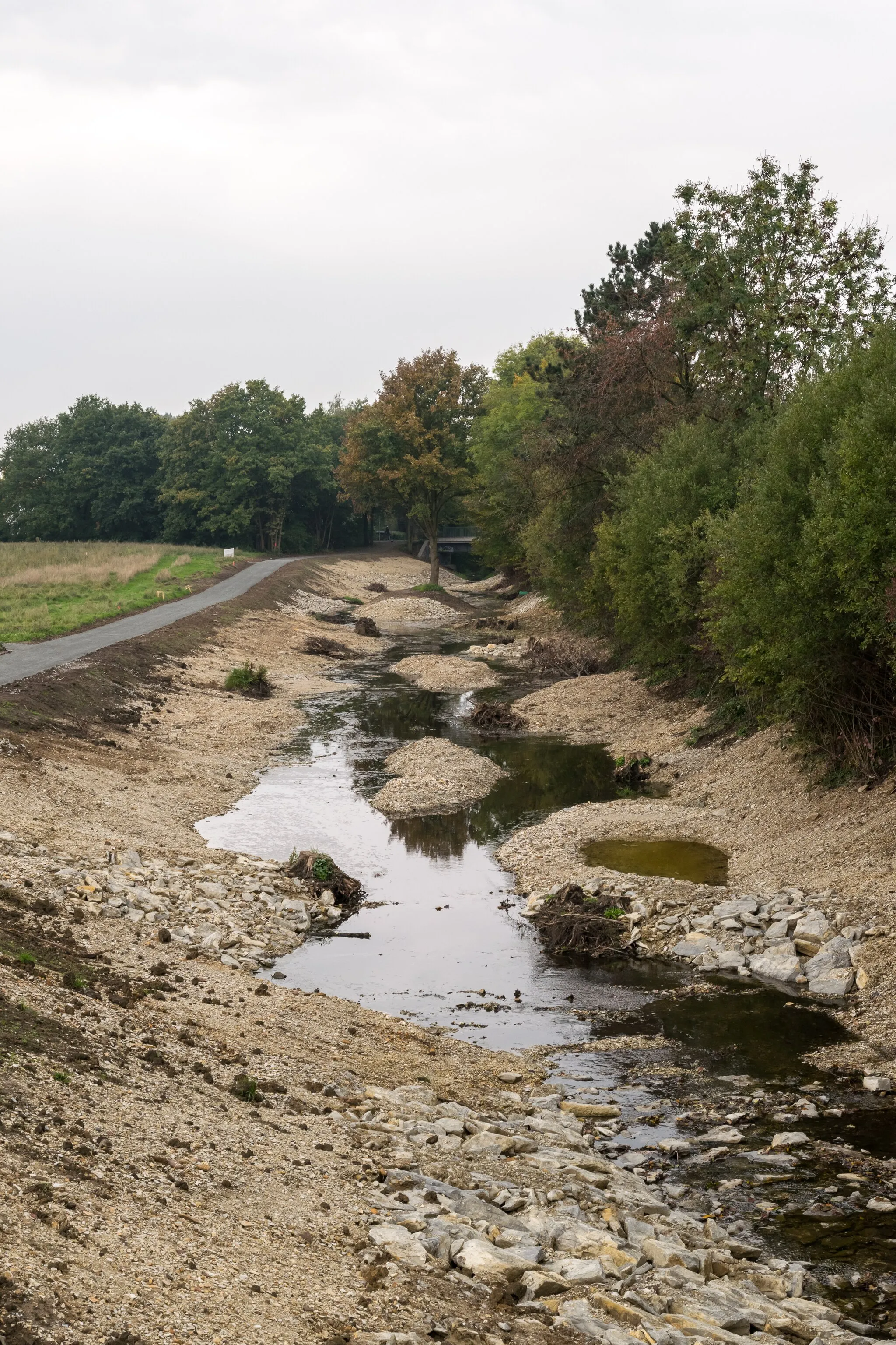 Photo showing: Renaturierung der Beke in Paderborn-Marienloh