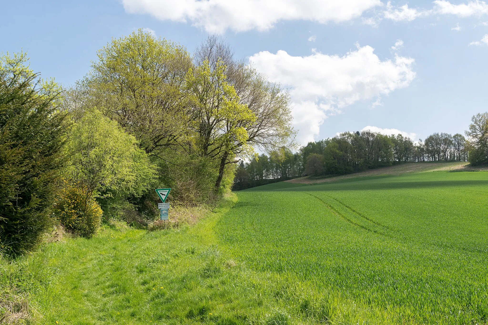 Photo showing: Naturschutzgebiet "Abgrabung Stemmen" in Kalletal-Stemmen, Kreis Lippe