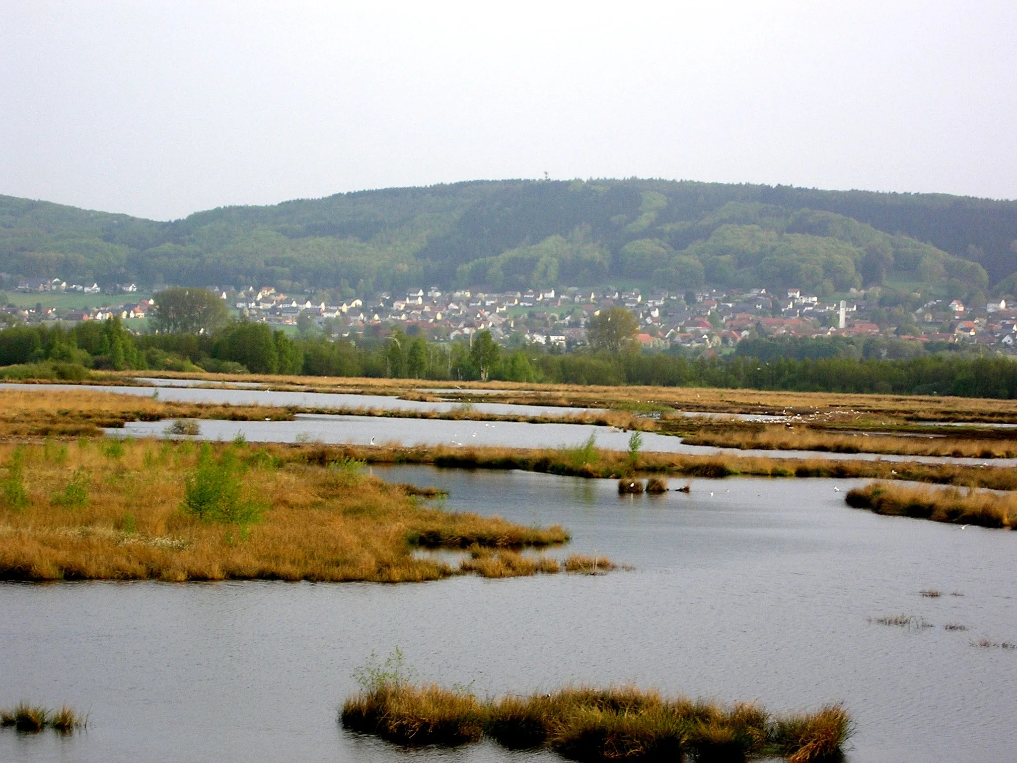 Photo showing: Blick auf den Nettelstedter Berg