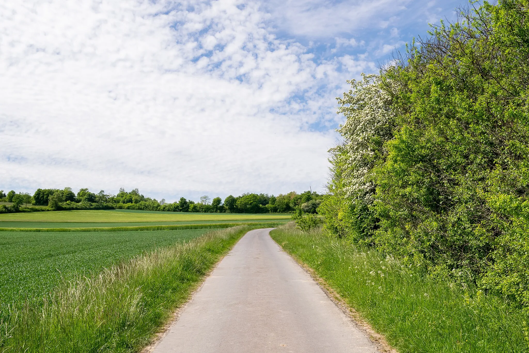 Photo showing: Landschaftsschutzgebiet Egge-Gebiet und Lipper Bergland mit Bielefelder Osning, Paderborner Hochfläche und Hellwegbörden bei Horn-Bad Meinberg-Kempen, Kreis Lippe