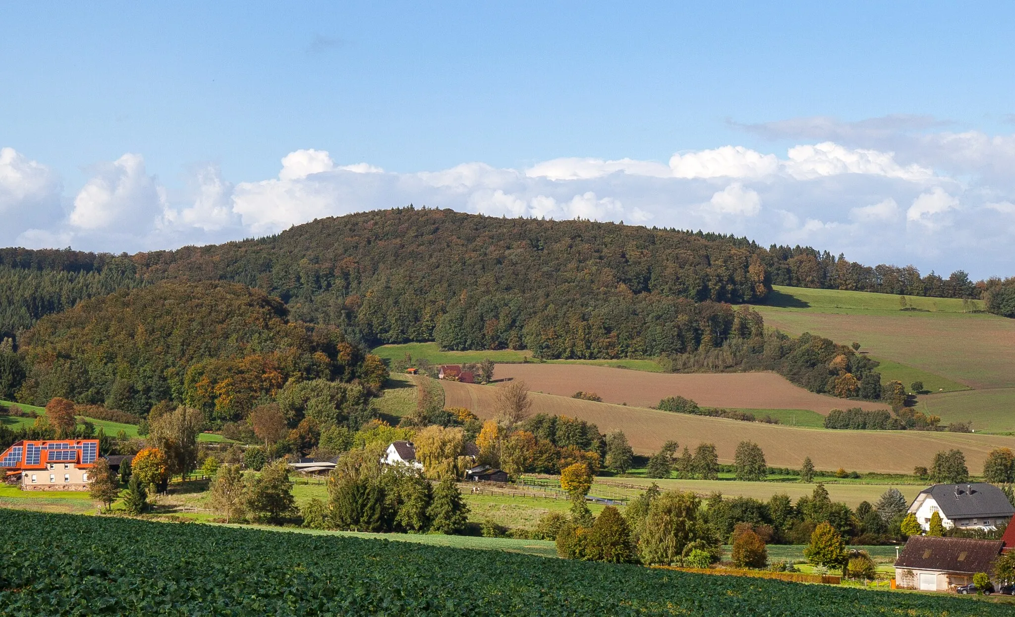 Photo showing: Der Buntenberg bei Göstrup im Extertal, Kreis Lippe. Ansicht von Süden.