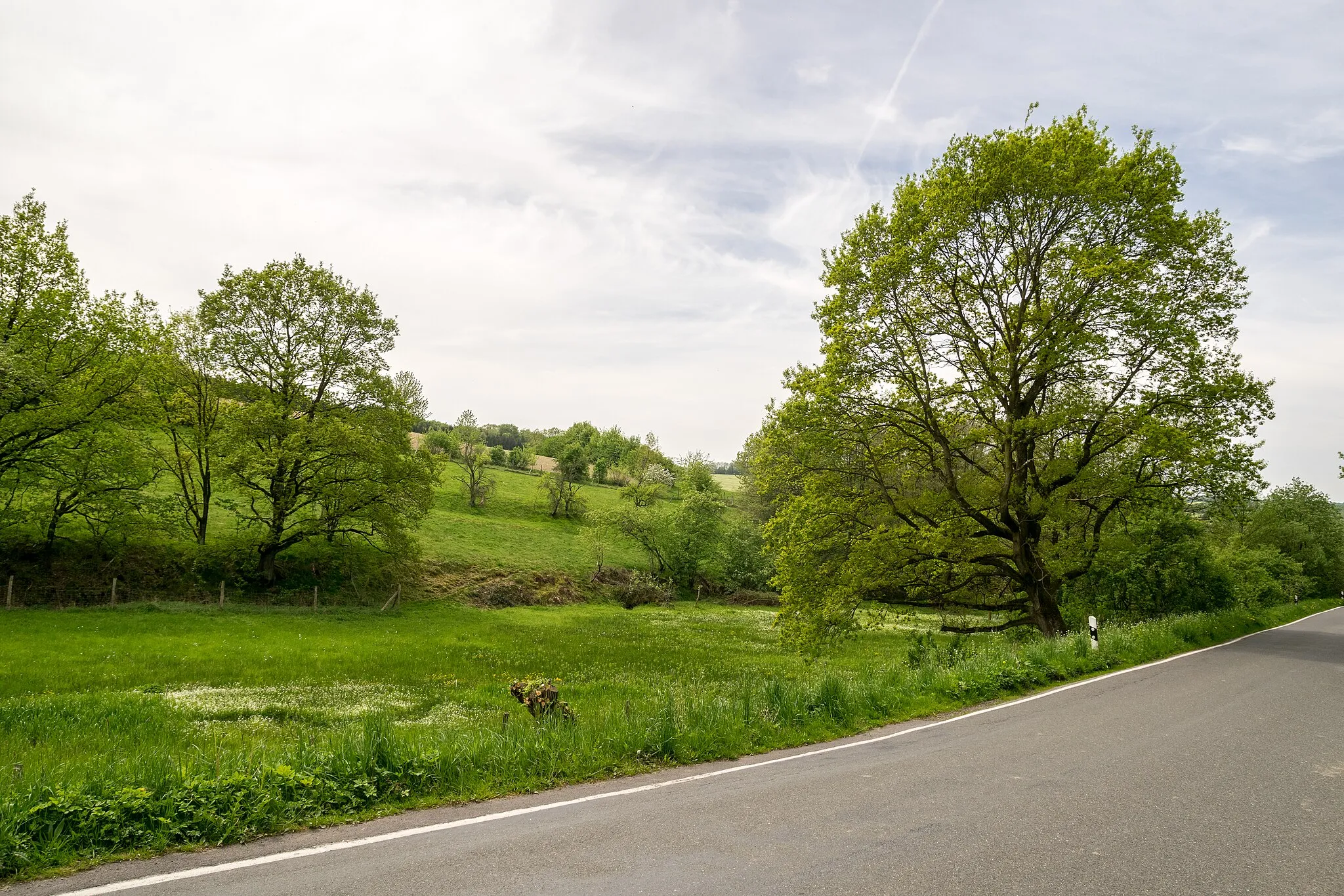 Photo showing: Naturschutzgebiet Quellbereich der Osterkalle in Kalletal-Lüdenhausen, Kreis Lippe