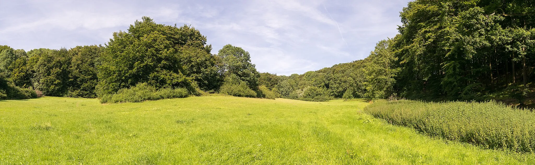 Photo showing: Naturschutzgebiet "Rafelder Berg", Kalletal, Kreis Lippe