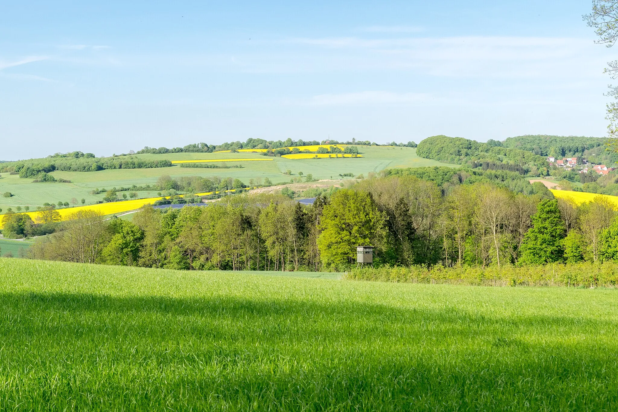 Photo showing: Landschaftsschutzgebiet Egge-Gebiet und Lipper Bergland mit Bielefelder Osning, Paderborner Hochfläche und Hellwegbörden bei Horn-Bad Meinberg-Leopoldstal