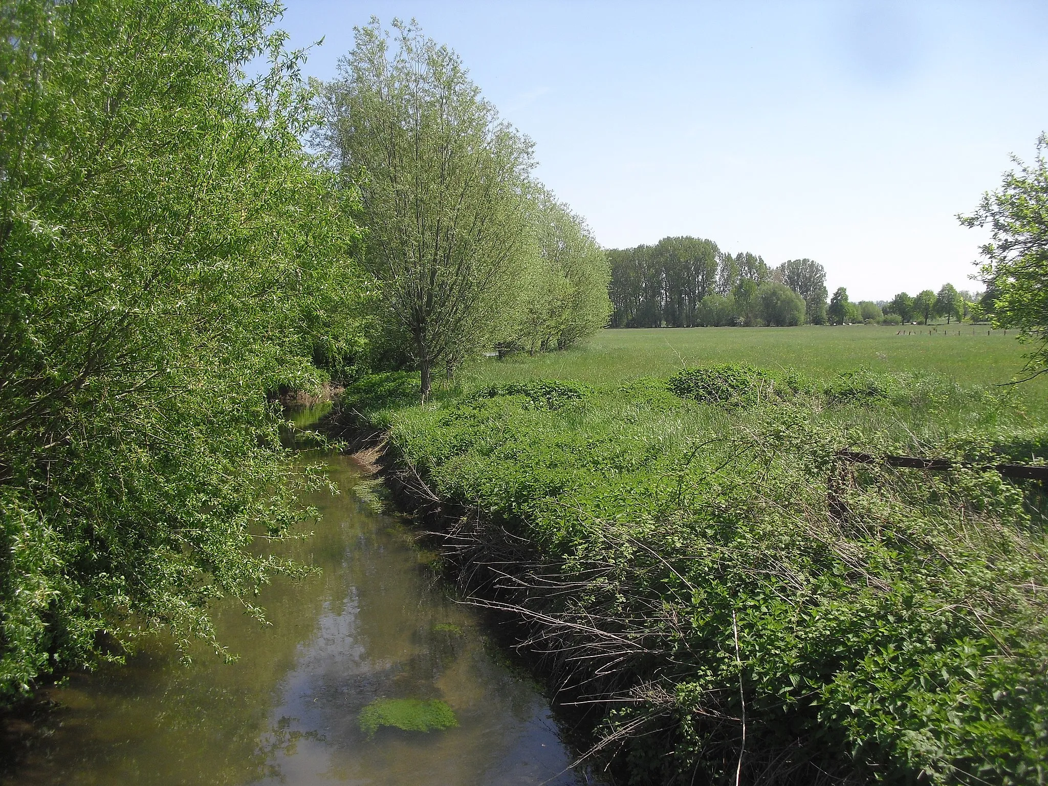 Photo showing: Geseker Bach und Osternheuland in Verlar