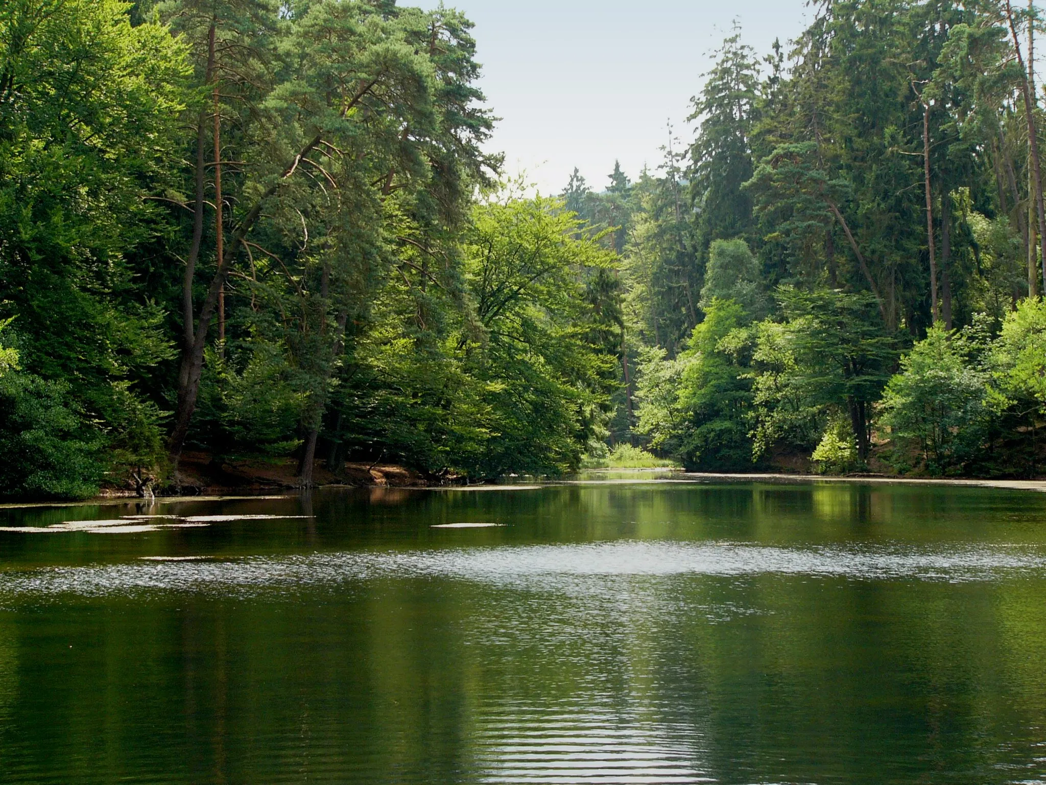 Photo showing: The Donop's Pond near Detmold in North Rhine-Westphalia, Germany.