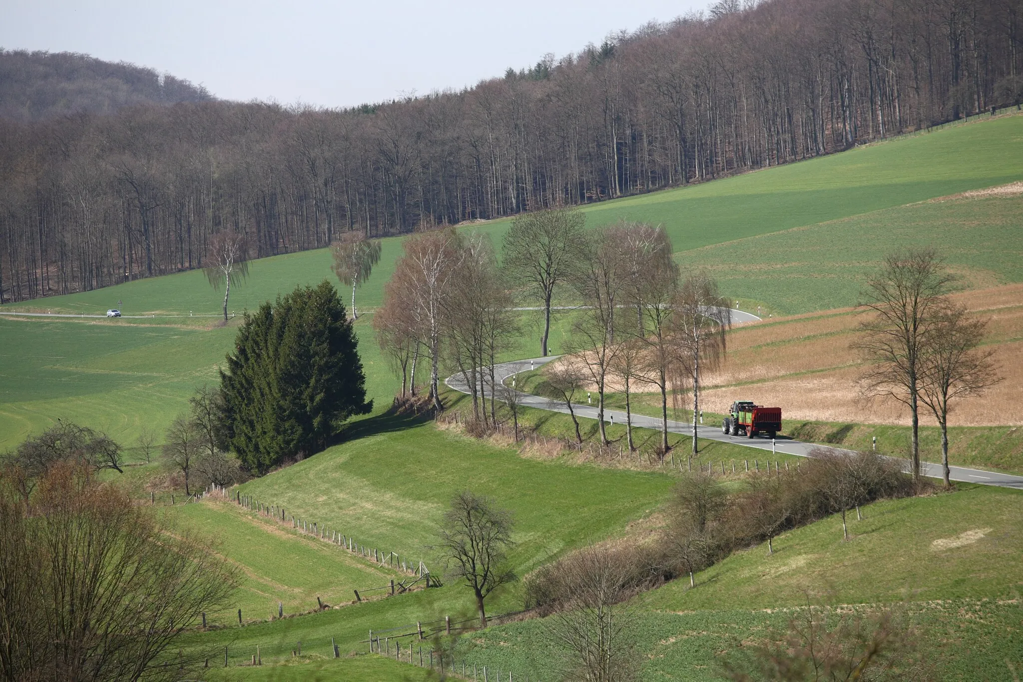 Photo showing: Ovenhausen, Prozessionsweg, Blick auf die K60 Richtung Altenbergen