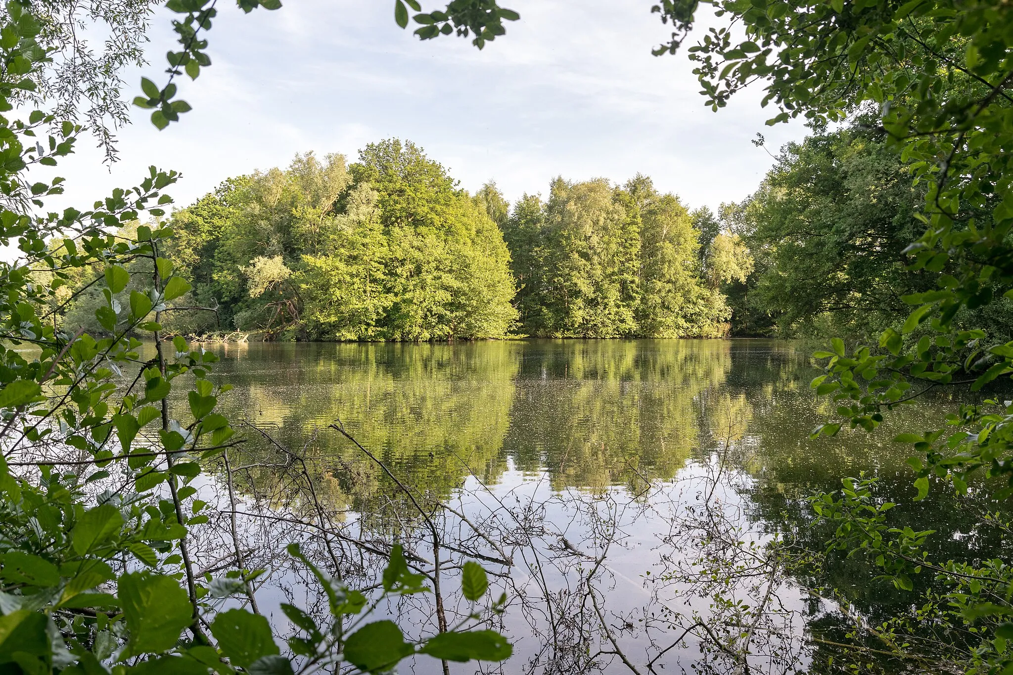 Photo showing: Naturschutzgebiet Heipker See, Leopoldshöhe, Kreis Lippe