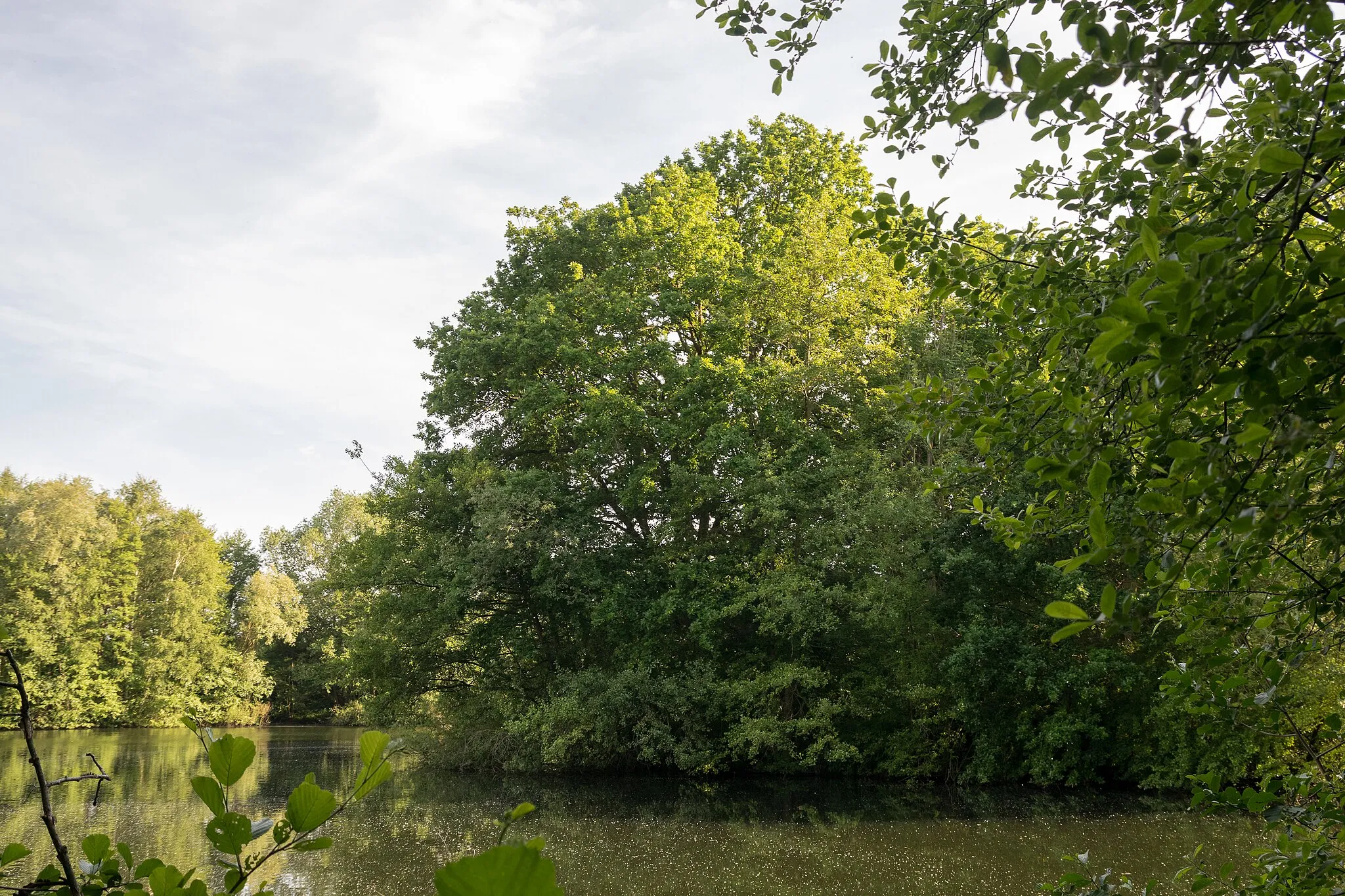 Photo showing: Naturschutzgebiet Heipker See, Leopoldshöhe, Kreis Lippe