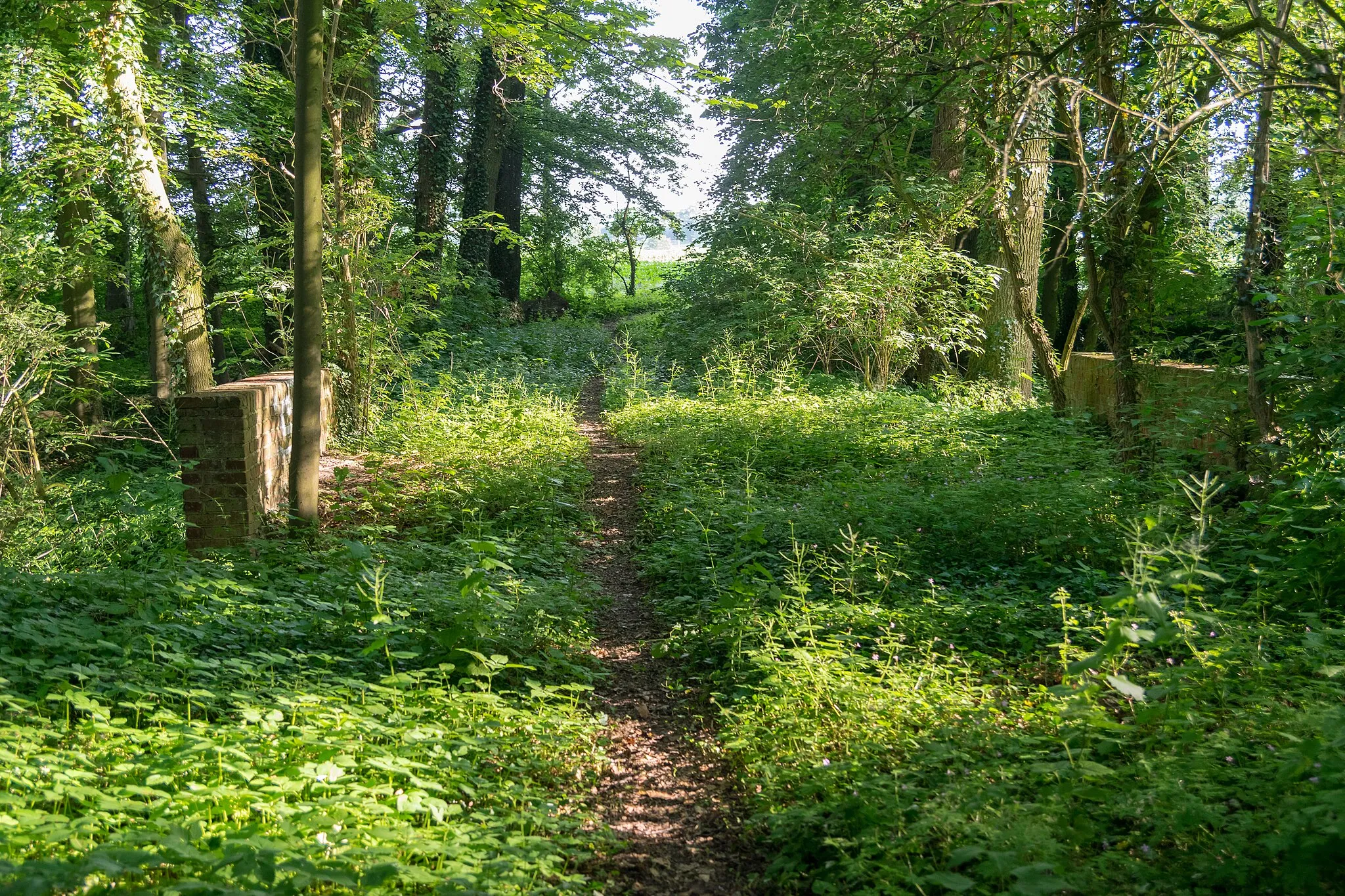 Photo showing: Naturschutzgebiet Heipker See, Leopoldshöhe, Kreis Lippe