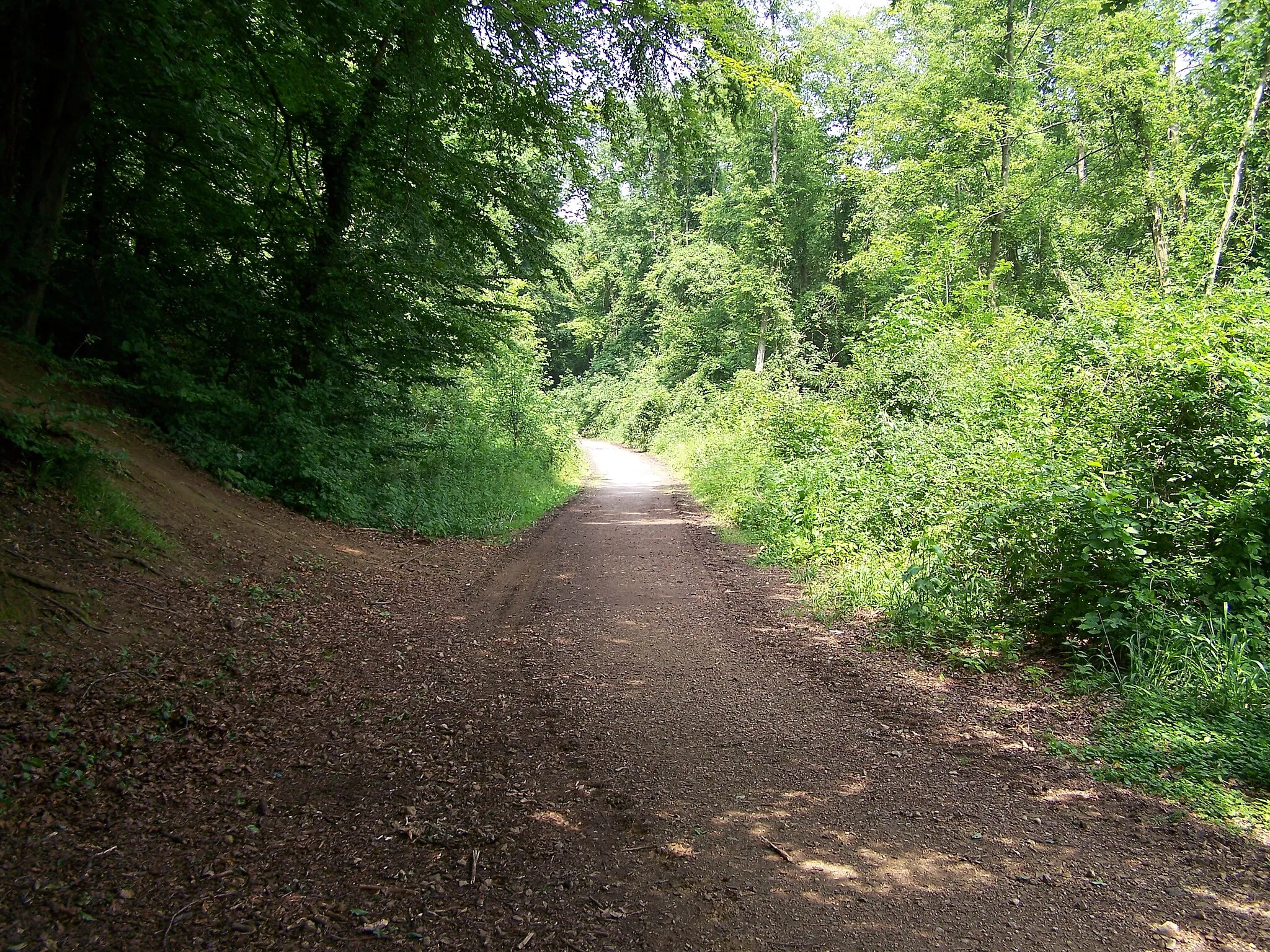 Photo showing: Trasse der Hüggelbahn