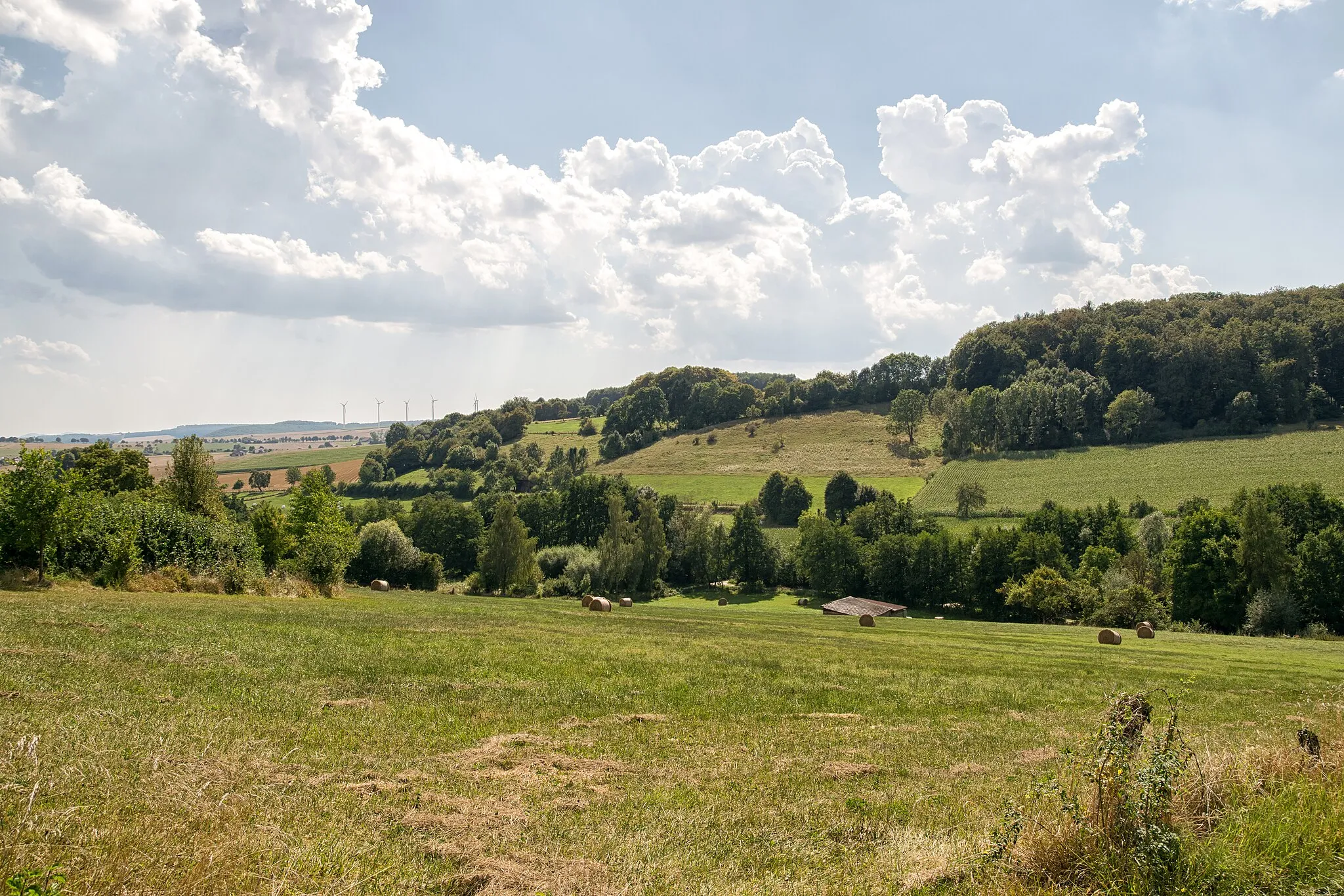 Photo showing: LSG Naturpark Eggegebirge und Teutoburger Wald westlich von Dringenberg, Bad Driburg, Kreis Höxter