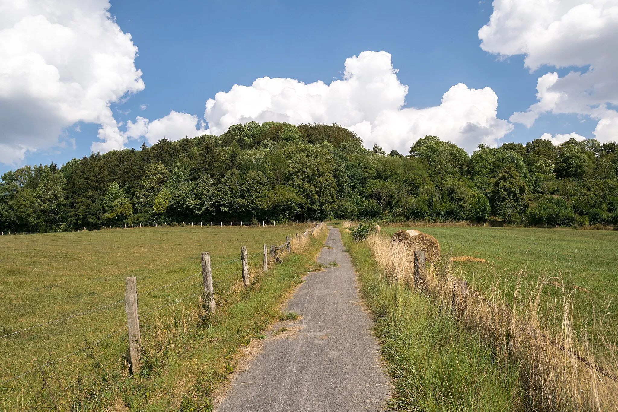 Photo showing: LSG Südlicher Kreis Höxter bei Dringenberg, Bad Driburg, Kreis Höxter