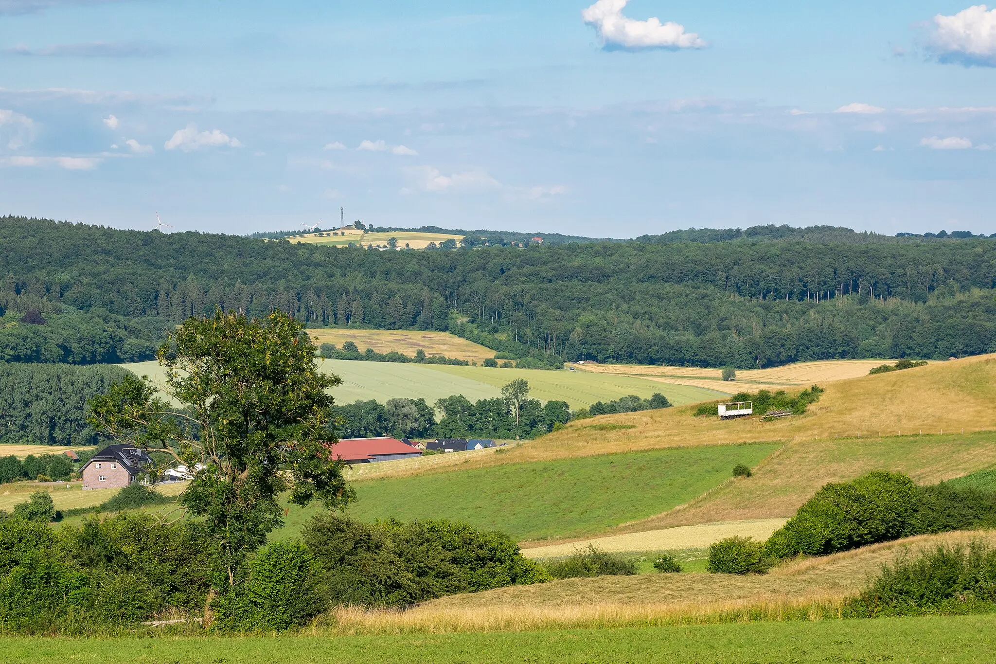Photo showing: Landschaft westlich von Bad Driburg-Reelsen