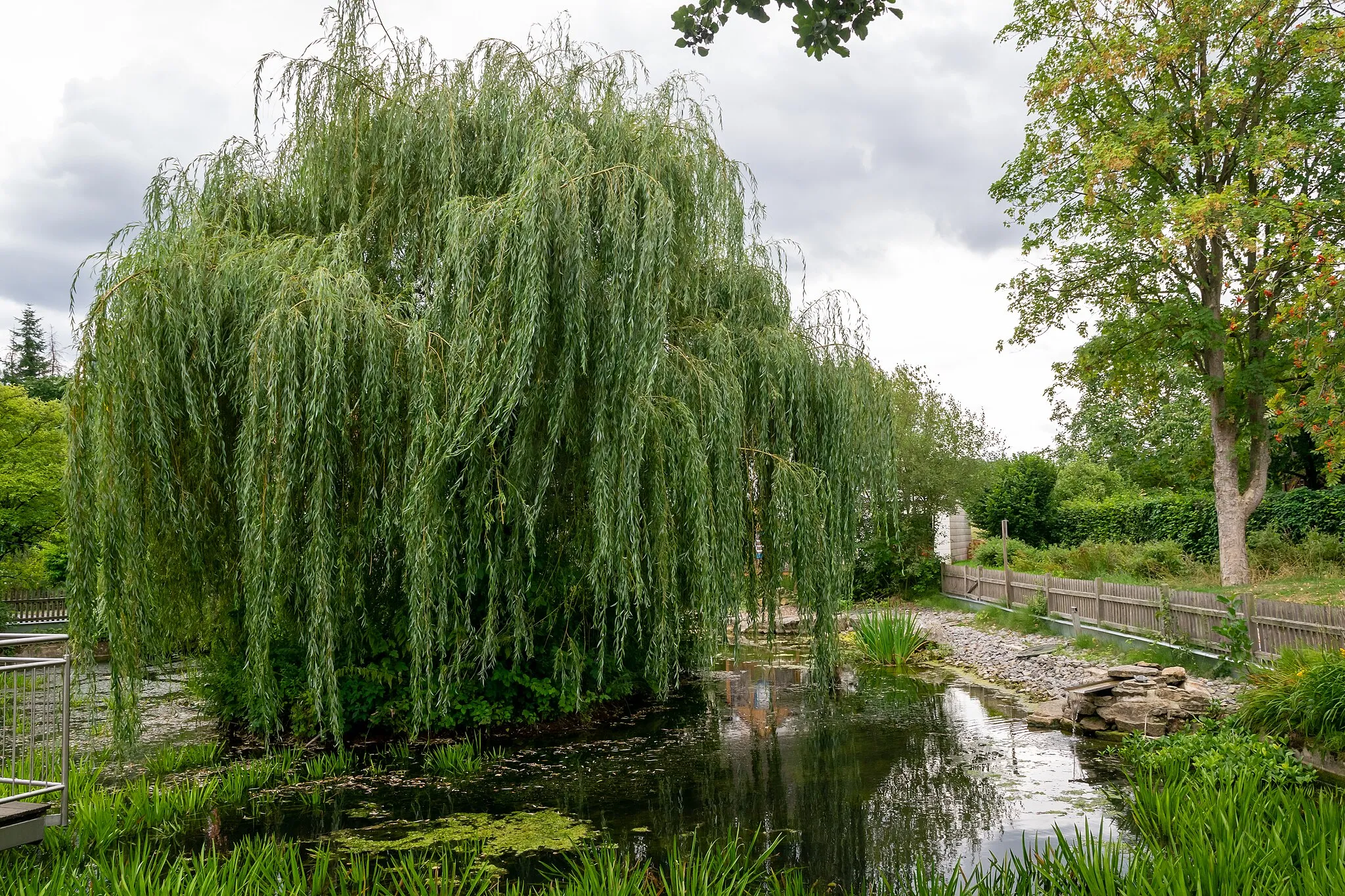 Photo showing: Feuerwehrteich in Nieheim-Oeynhausen