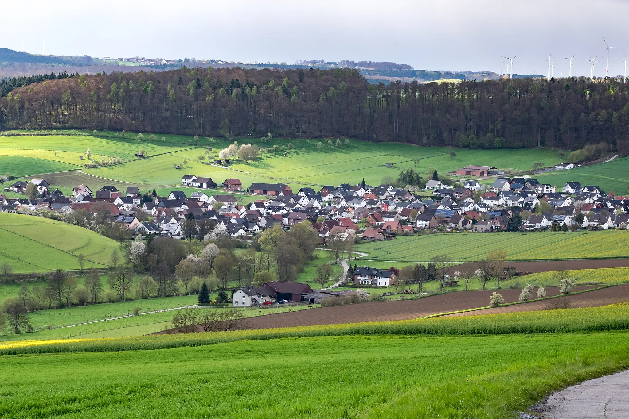 Photo showing: Blick auf Höxter-Brenkhausen vom Räuschenberg