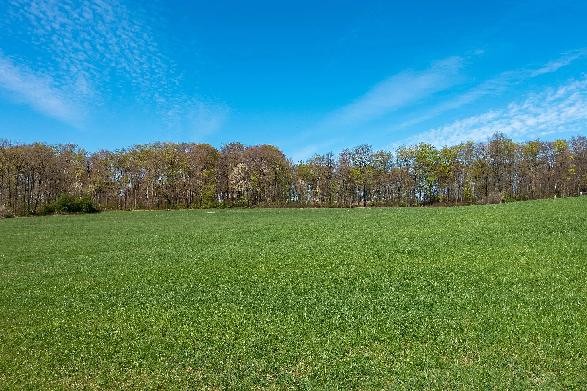 Photo showing: Landschaftsschutzgebiet Hörster Egge in Lage-Hörste