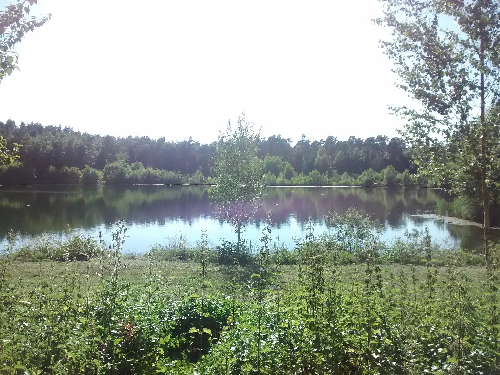 Photo showing: Kultivierter und großzügiger Fischteich in Stemwede.