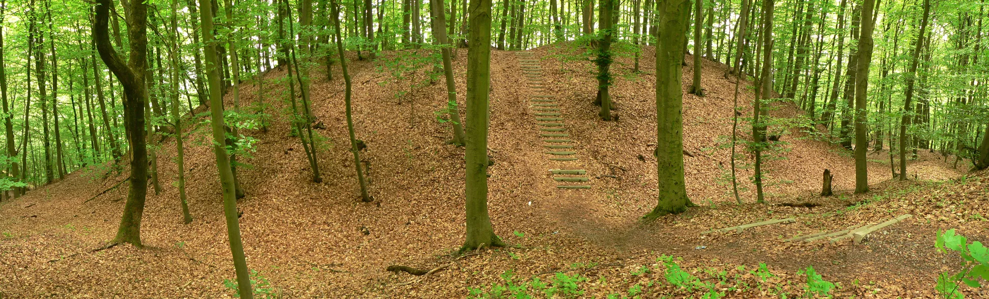 Photo showing: Vorburg der Hünenburg (Rinteln) Hohenrode