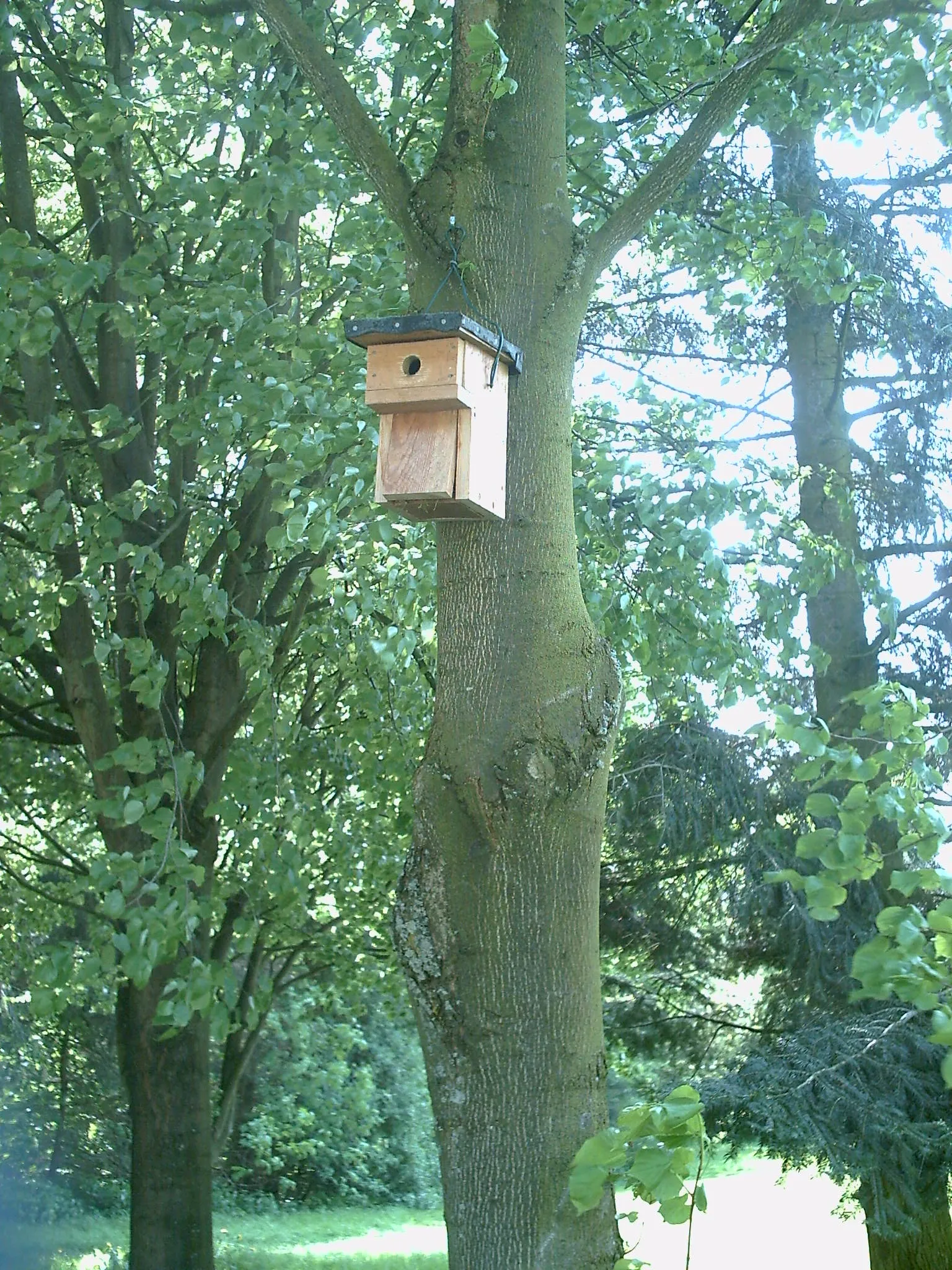 Photo showing: Nest box on the golf course in Bad Driburg, Germany